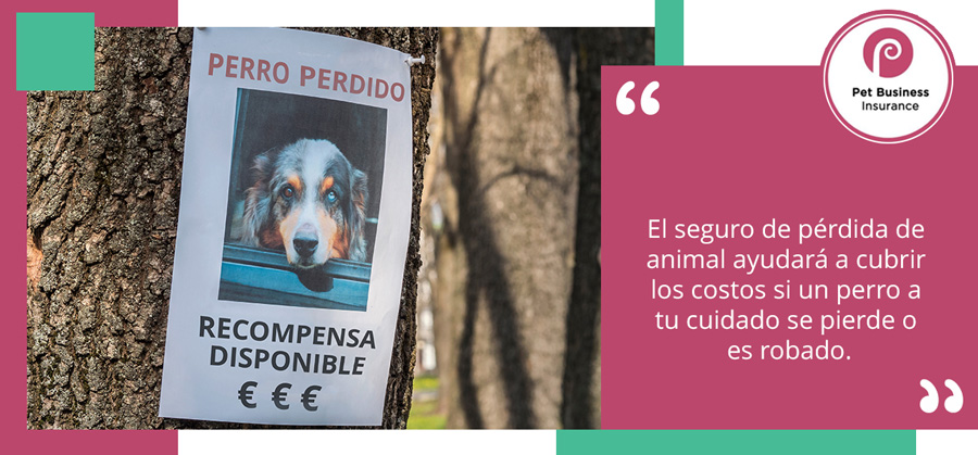 cartel de perro perdido montado en un árbol